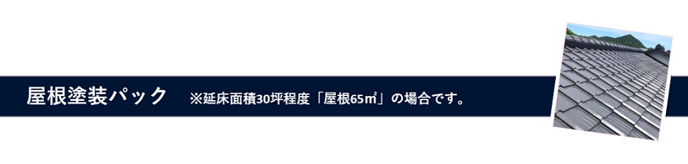 屋根塗装パック ※延床面積30坪程度「屋根65㎡」の場合です。